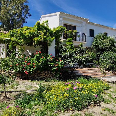 Cortijo Nerja Artist Paradise Bagian luar foto