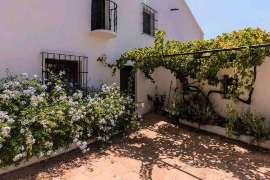 Cortijo Nerja Artist Paradise Bagian luar foto