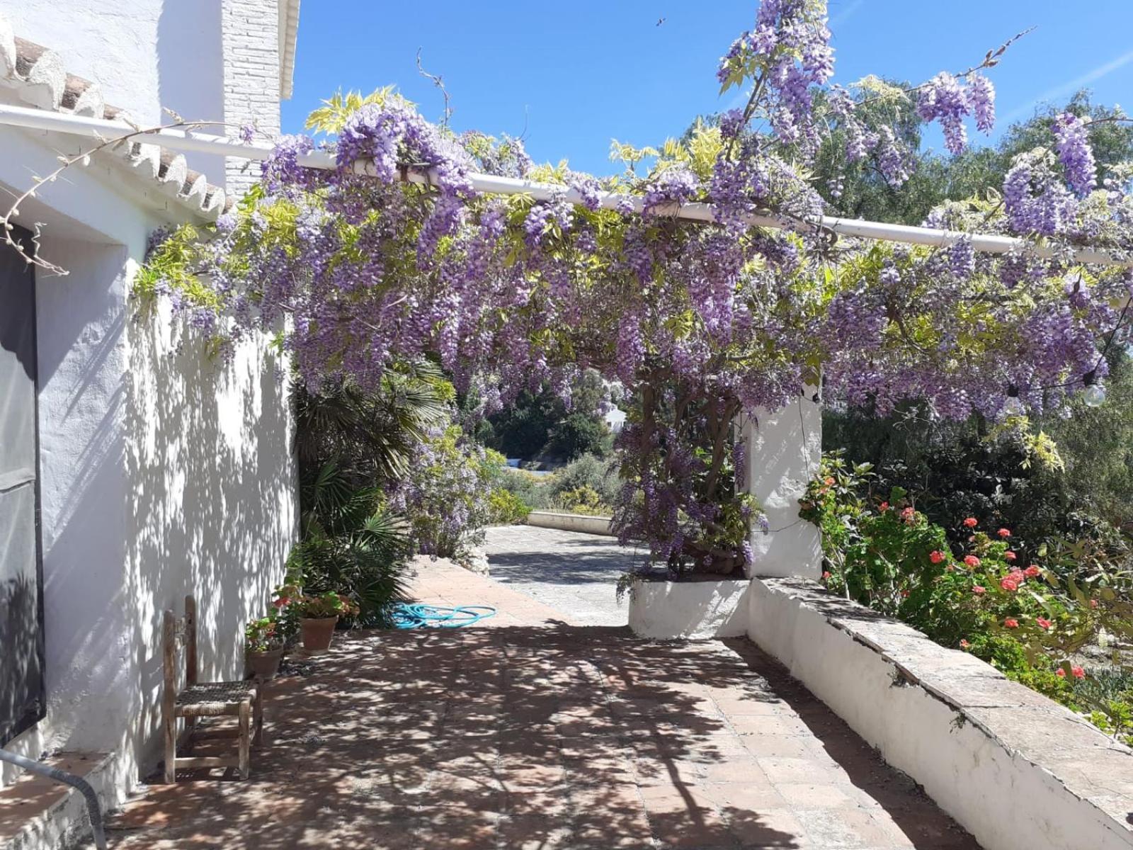Cortijo Nerja Artist Paradise Bagian luar foto