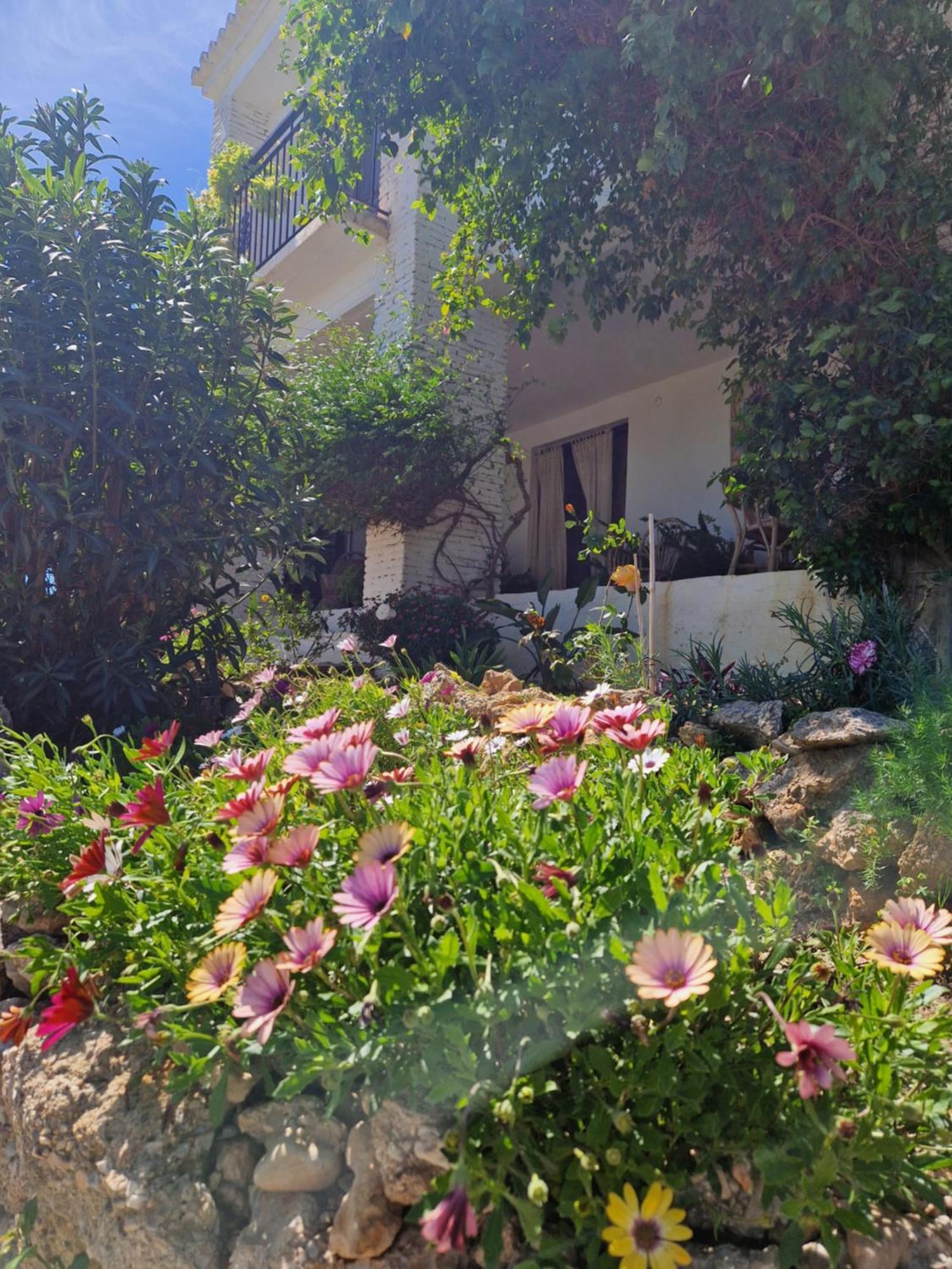 Cortijo Nerja Artist Paradise Bagian luar foto