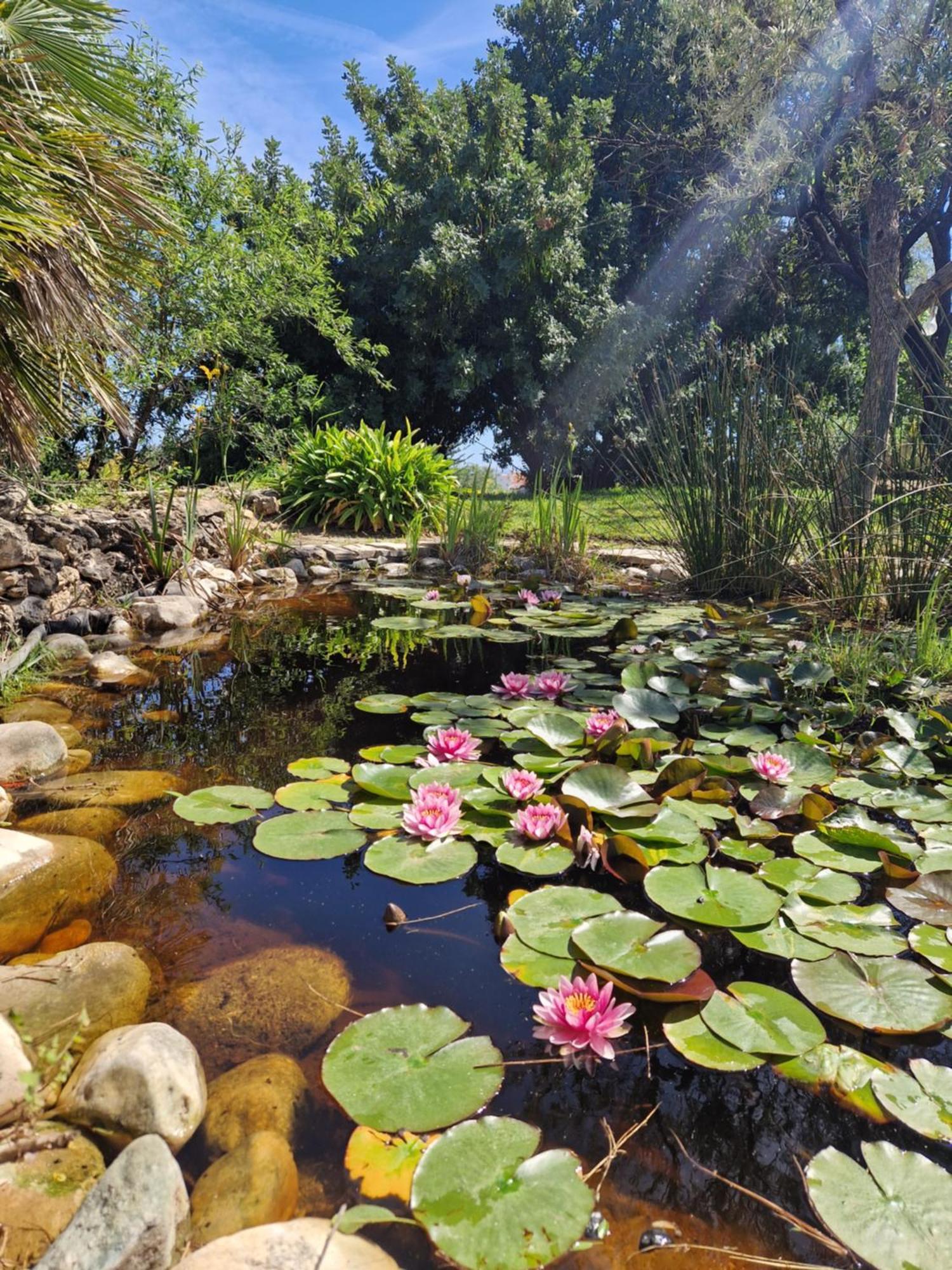 Cortijo Nerja Artist Paradise Bagian luar foto
